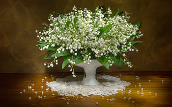Lilies of the Valley, white, flowers, spring, bouquet HD wallpaper