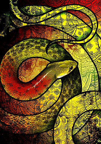 Art, Patterns, Snake, Scales, Scale HD phone wallpaper