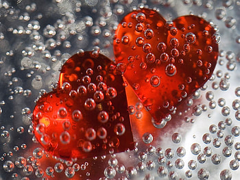 Holidays, Background, Hearts, Love, Valentine's Day HD wallpaper