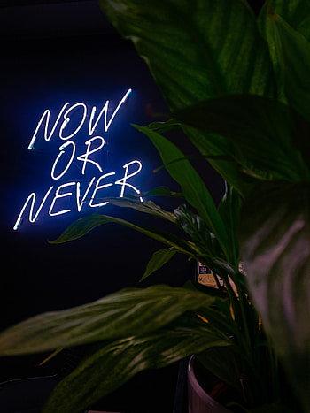 Words, Phrase, Motivation, Now Or Never HD phone wallpaper