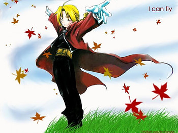 I can Fly, metal, black, full, male HD wallpaper