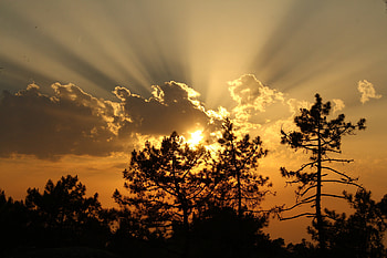 Nature, Trees, Sunset, Sun, Clouds, Beams, Rays HD wallpaper