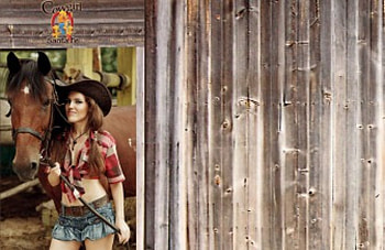 Cowgirl Outside A Barn, style, fun, famous, cowgirls, horses, ranch, ropes, western, female, hats, rodeo, farm, beautiful, country, fashion, cutoffs, models, girls, women HD wallpaper
