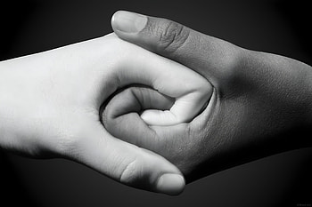 People Black And White Handshake Together, handshake, hand, Together, Family, friends HD wallpaper