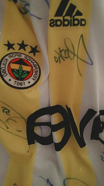 Fenerbahçe, fener, badge, symbol, 1907, logo, sport, football HD phone wallpaper