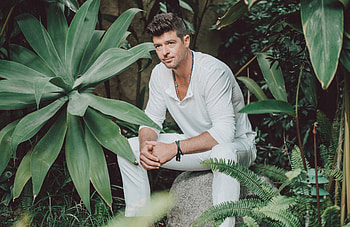 Robin Thicke, Blurred Lines, Learning from mistakes, The New York Times HD wallpaper