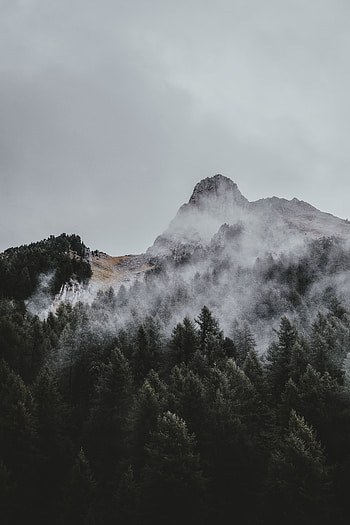 Nature, Trees, Sky, View From Above, Mountain, Vertex, Top, Fog HD phone wallpaper