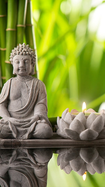 Bhagwan Buddha, Buddha Zen HD phone wallpaper