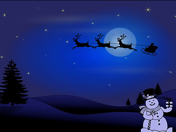 Blue night, winter, night, snowman, holiday, moon, deer, christmas, fly HD wallpaper