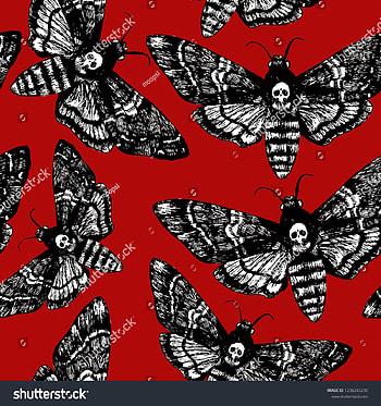 Death head moth, death head HD phone wallpaper