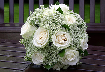 Flowers, Roses, Registration, Typography, Bouquet, Ball HD wallpaper