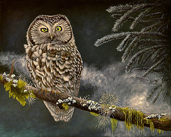 Waiting Owl, night, painting, bird, owl HD wallpaper