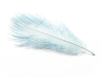 Ostrich feathers, Wedding confetti, Cape Karoo shop, Luxurious decoration HD wallpaper