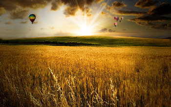 Nature, Sunset, Autumn, Sun, Balloons, Shine, Light, Field, Flight, Colors, Color, Evening, Paints HD wallpaper