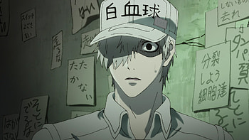 Cells at Work! Code Black, Funimation announced, Cells at Work, Animecast HD wallpaper