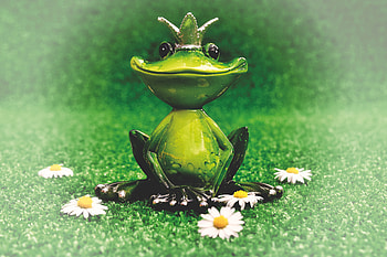 Flowers, Miscellanea, Miscellaneous, Crown, Statuette, Frog, Princess, Tsarevna HD wallpaper