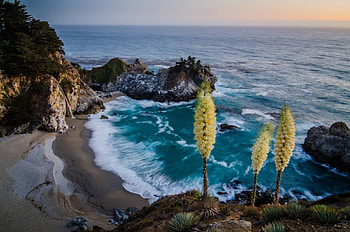 Big Sur, fun, cool, nature, ocean, beach HD wallpaper