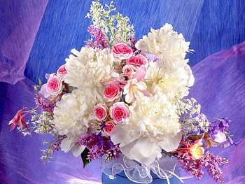Peonies - a bouquet, Flowers, Peonies, Nature, Bouquet HD wallpaper