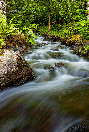 Nature, Stones, Waterfall, Fern, Flow, Stream HD phone wallpaper