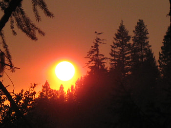 wildfire sunset, trees, sky, glow, sunset HD wallpaper