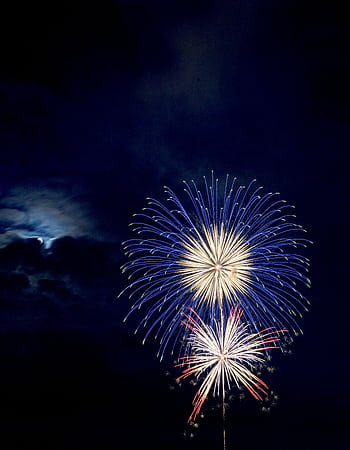 Vibrant fireworks burst into color in a clear night sky, perfect for celebrations and festive events. HD phone wallpaper