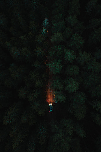 Trees, View From Above, Dark, Road, Forest, Car HD phone wallpaper