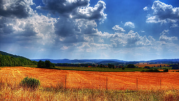 Nature, Field, Color, Colors, Fence, Fencing, Enclosure HD wallpaper