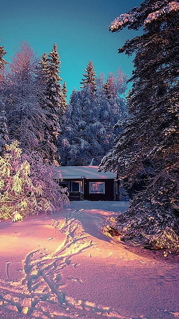 Winter, Winter Season HD phone wallpaper