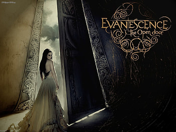 Amy Lee, music, singer, model, sexy lady HD wallpaper