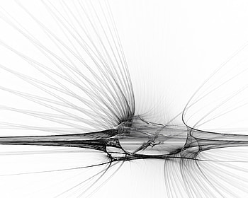 black&white, white, black, interesting, artistic HD wallpaper