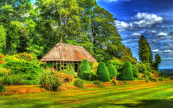 Hut on Green Forest, green, hut, clouds, trees, nature, grass, forest HD wallpaper