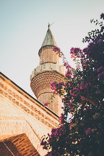 A beautifully captured mosque minaret with colorful flowers in the foreground under a clear sky. HD phone wallpaper