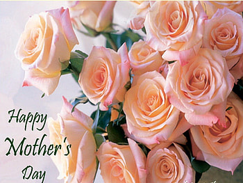 To all Mothers on Nexus, rose, pink, coral, Mothers day, celebration HD wallpaper