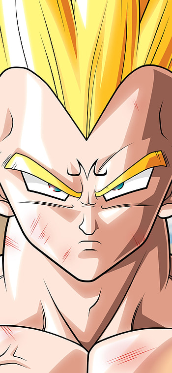 Anime, Dragon Ball Z HD phone wallpaper