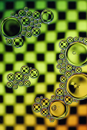 Bubbles, Macro, Liquid, Oil, Butter HD phone wallpaper