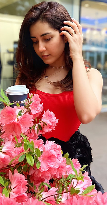 Raashi Khanna HD phone wallpaper