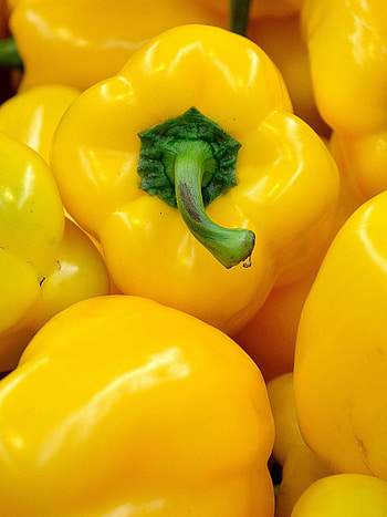 Paprika Pepper, Sweet and colorful, John Peltier's post HD phone wallpaper