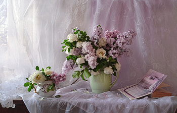 ✼ ✼, Roses, Still life, Book, Mood HD wallpaper