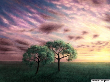 two tree in nature, nature, green, tree HD wallpaper