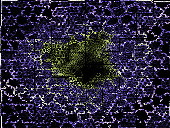 cellls, cells HD wallpaper