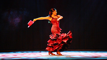 Flamenco , Artistic flair, Bold colors, High definition HD wallpaper