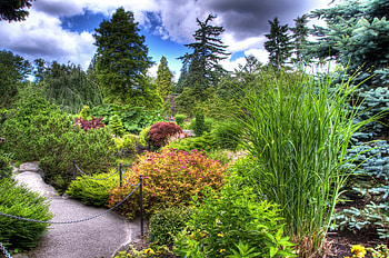 Nature, Trees, Bush, Vegetation, Fencing, Enclosure, Chain, Arboretum HD wallpaper