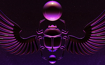 Scarab in the dark, J Matthew Root HD wallpaper
