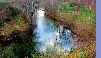 Wild river, nature, rivers HD wallpaper