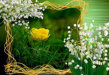 LILY-OF-THE-VALLEY and A BUTTERCUP, white, pretty, snowdrops, yellow, green, flowers, nature, buttercup HD wallpaper
