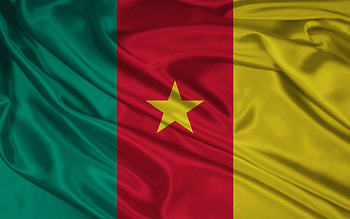 Cameroon flag , Stock , , Background HD wallpaper