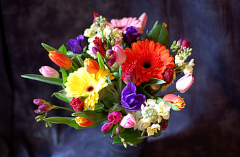 Flowers, Tulips, Gerberas, Registration, Typography, Bouquet, Composition HD wallpaper
