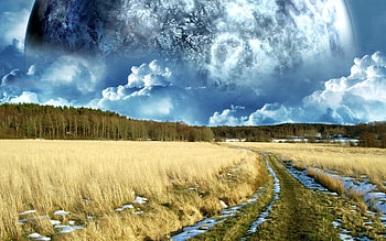 My lovely kode , landscape, nature HD wallpaper