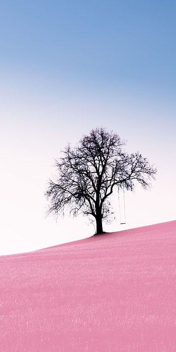 Solitude tree , Clear sky beauty, Pink sand desert, Surreal landscapes HD phone wallpaper