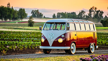Volkswagen Type 2 Bus, Old Car, Vehicles, Volkswagen HD wallpaper